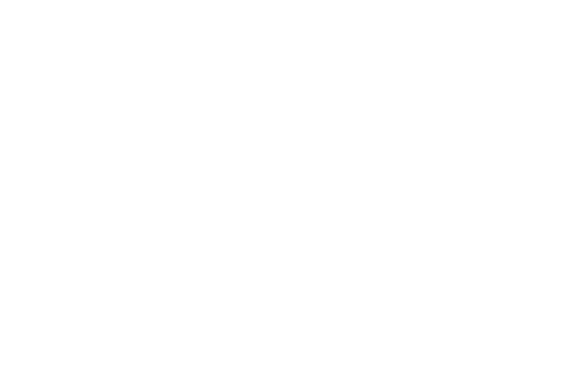Logo Nexos